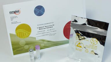 Expanded Range of Standards for Molecular Norovirus Assays