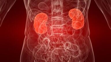 Clinical trial develops non-invasive test for early indication of kidney transplant rejection