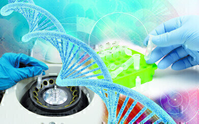 Chromatrap® enriches epigenetic marks from primary cells
