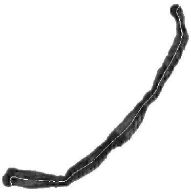 Fibre Analysis Capabilities added in new software for Particle Characterisation System
