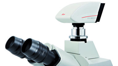 Camera for Fluorescence Applications Launched