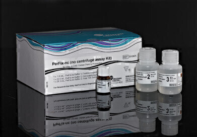 New Reagent Kits Deliver Probes and Antibodies into Cells
