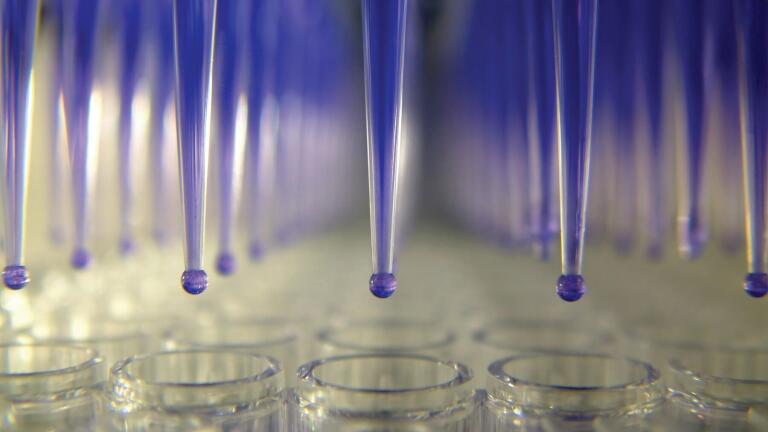 High Throughput 96- & 384-Well DNA Purification