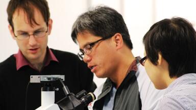 University Research Group publishes data on Metallic Nanoparticles as part of a program to develop Sustainable Nanomaterials