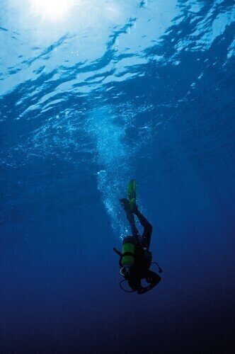 Next Generation Testosterone Assay offers clinically relevant results at Low Concentrations
