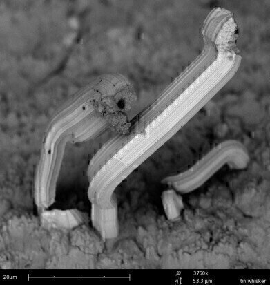 Tin whisker inspection with Phenom Desktop SEM
