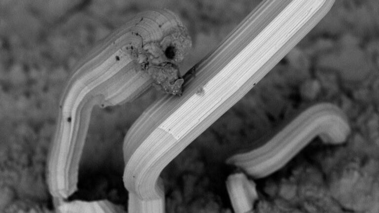 Tin whisker inspection with Phenom Desktop SEM