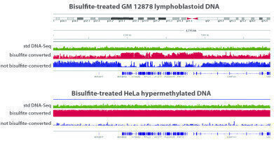 Complete methylome analysis from only 50 ng of genomic DNA
