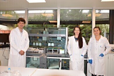 A Turnkey Solution for Forensic Identification
