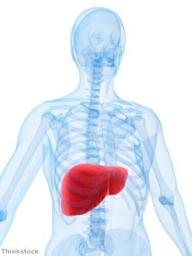 Implanted pump provides treatment for liver disease