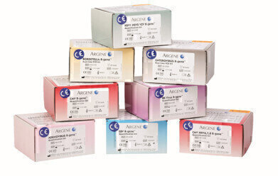 Launch of Parvovirus Detection and Quantification Kit
