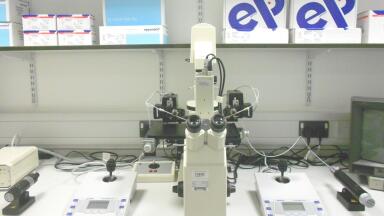 New Microinjection Suite at the Hadyn Ellis building supports Researchers in Pioneering Work