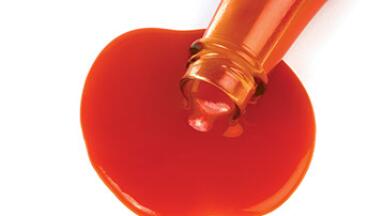 Quick and Easy Test For Lactic Acid Bacteria Developed