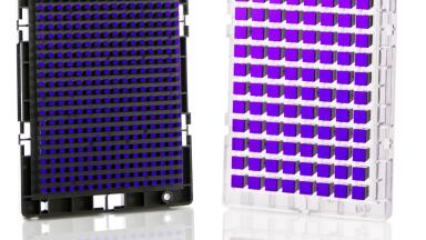 Collaboration on Genotyping Arrays for guaranteed sustainability of Wheat Production Announced