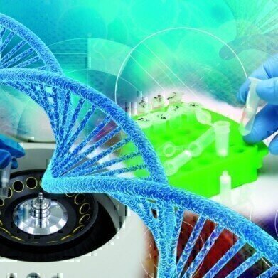 ChIP Enzymatic Shearing Kit
