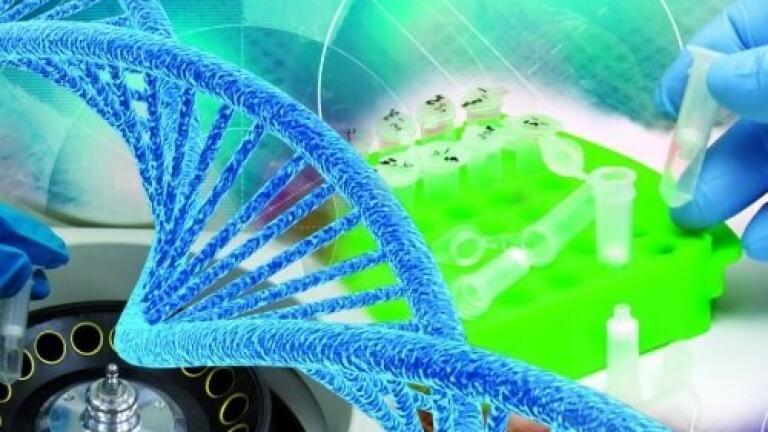 ChIP Enzymatic Shearing Kit