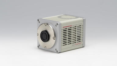 Exceptional new Scientific CMOS Camera provides Bigger and Faster Images 