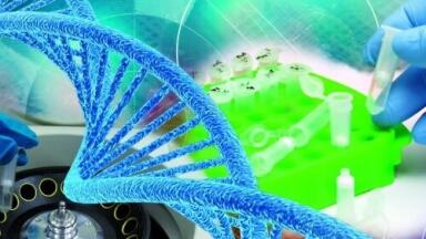 ChIP Enzymatic Shearing Kit