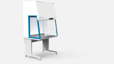 The sound of silence