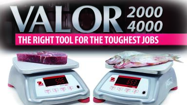 Compact Bench Scales Ideal for Harsh and Wet Environment Food Processing Applications