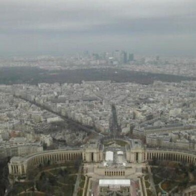 Paris bans traffic in bid to cut air pollution