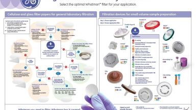 Take Filtration Quiz and order the free Whatman™ Filtration Poster