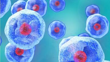 Device for Removal of Dying and Dead Cells