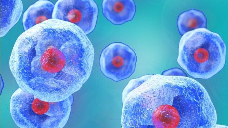 Device for Removal of Dying and Dead Cells  