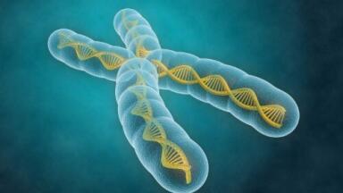 Newborn muscular dystrophy test supported by MPs