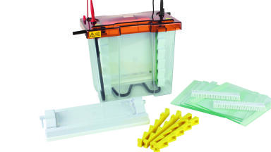 New Maxi Z™ Electrophoresis System   Fast Set up, Max. Capacity  