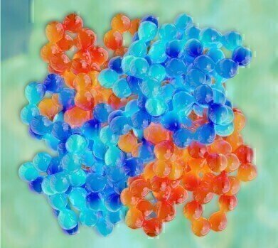 Efficient Delivery of Proteins into Living Cells
