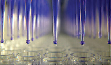 Consistent and Efficient Purification of NGS Library Reactions
