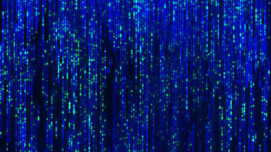 TGAC becomes a UK Centre of Excellence for ground-breaking Whole Genome Mapping Technology