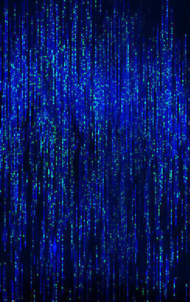 TGAC becomes a UK Centre of Excellence for ground-breaking Whole Genome Mapping Technology
