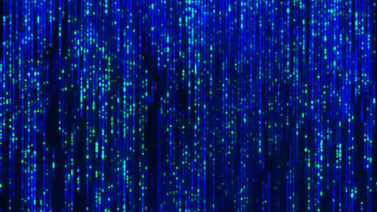 TGAC becomes a UK Centre of Excellence for ground-breaking Whole Genome Mapping Technology