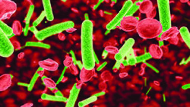 New Rapid Pathogen Species Diagnostic Test could help battle Antibiotic Resistance 