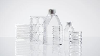 New Cell Culture Consumables deliver Quality in All