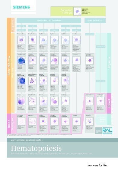 Educational Resources to share Best Practice and Enhance Knowledge Offered
