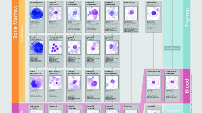 Educational Resources to share Best Practice and Enhance Knowledge Offered