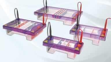 Versatile Range of Horizontal Gel Electrophoresis Units