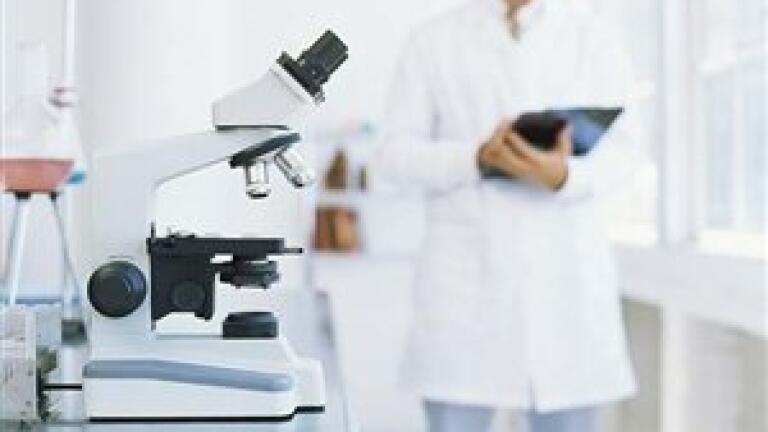 What is Western Blotting?