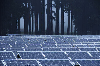 How Do Solar Farms Work?
