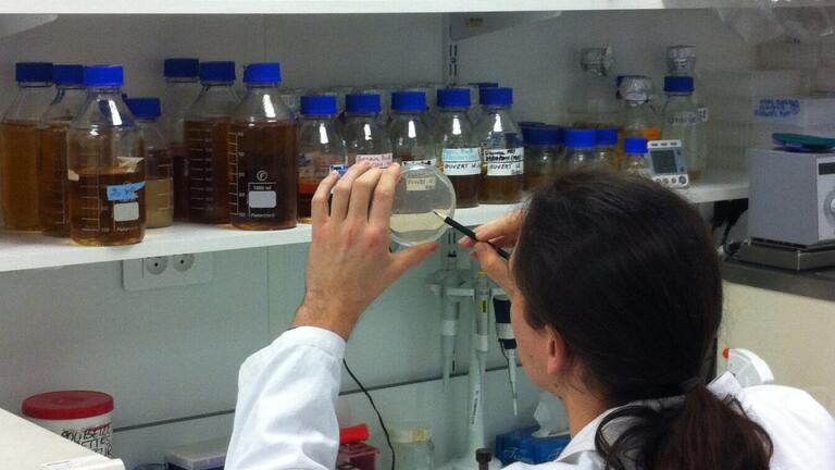 ANR Supports Project to Improve Efficacy of Influenza Vaccines