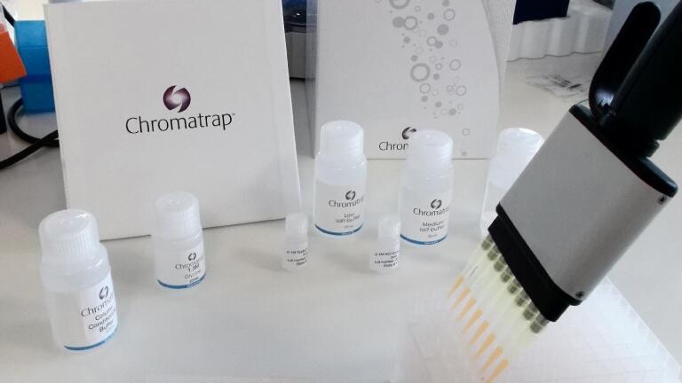 Streamlining ChIP for qPCR Analysis 