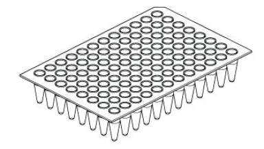 Successful PCR Have You Considered all the Components?