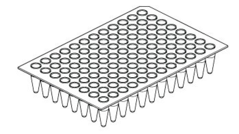 Successful PCR Have You Considered all the Components?