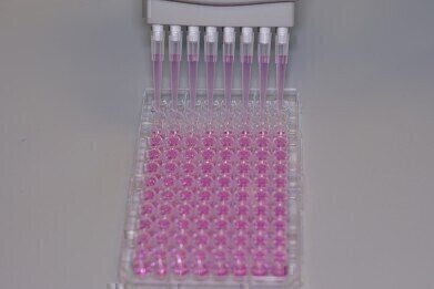 Newly Developed Bioactive Protein Surfaces for Cell Culture Growth
