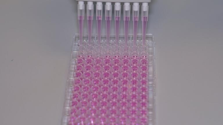 Newly Developed Bioactive Protein Surfaces for Cell Culture Growth