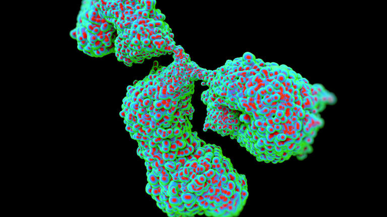 Specificity-Verified Monoclonal Antibodies?