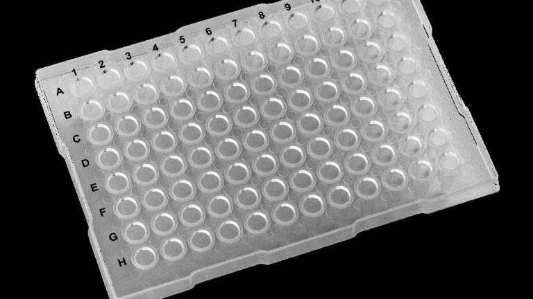 Polypropylene PCR plates 